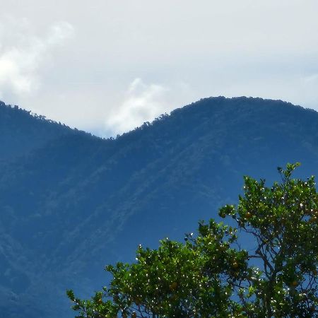 Hospedaje Finca Agroturistica Dona Rufa Rio Sereno エクステリア 写真