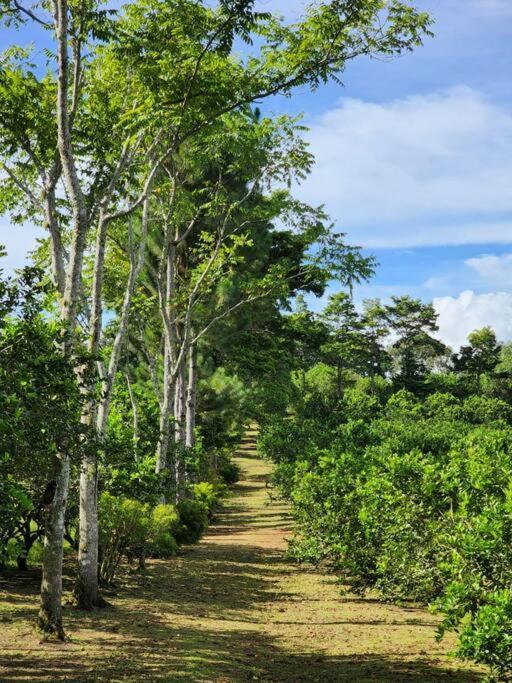 Hospedaje Finca Agroturistica Dona Rufa Rio Sereno エクステリア 写真