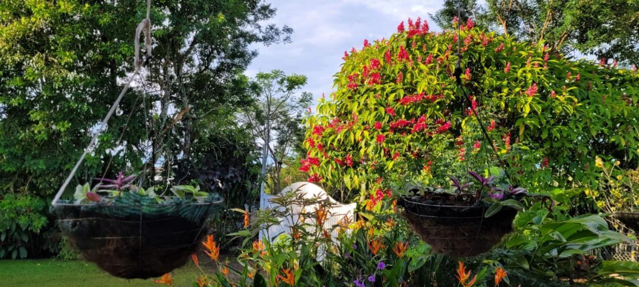Hospedaje Finca Agroturistica Dona Rufa Rio Sereno エクステリア 写真