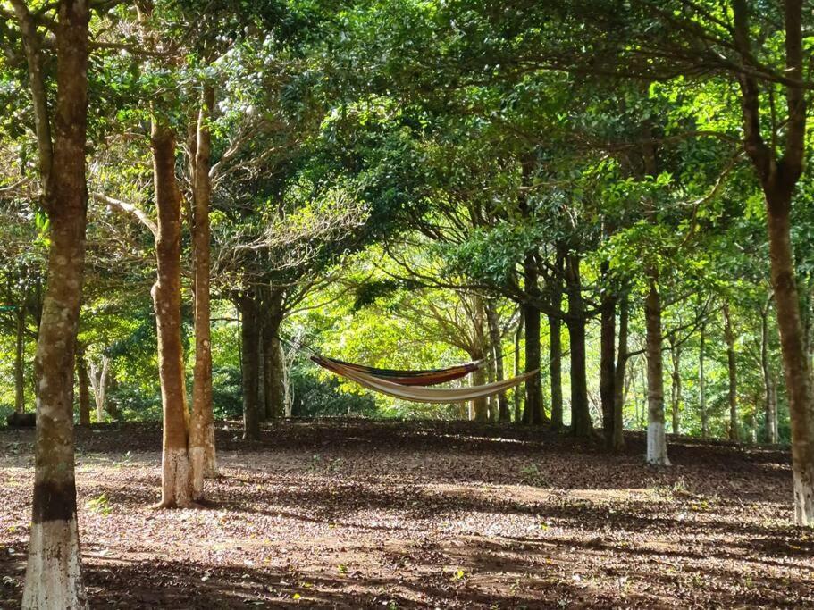 Hospedaje Finca Agroturistica Dona Rufa Rio Sereno エクステリア 写真