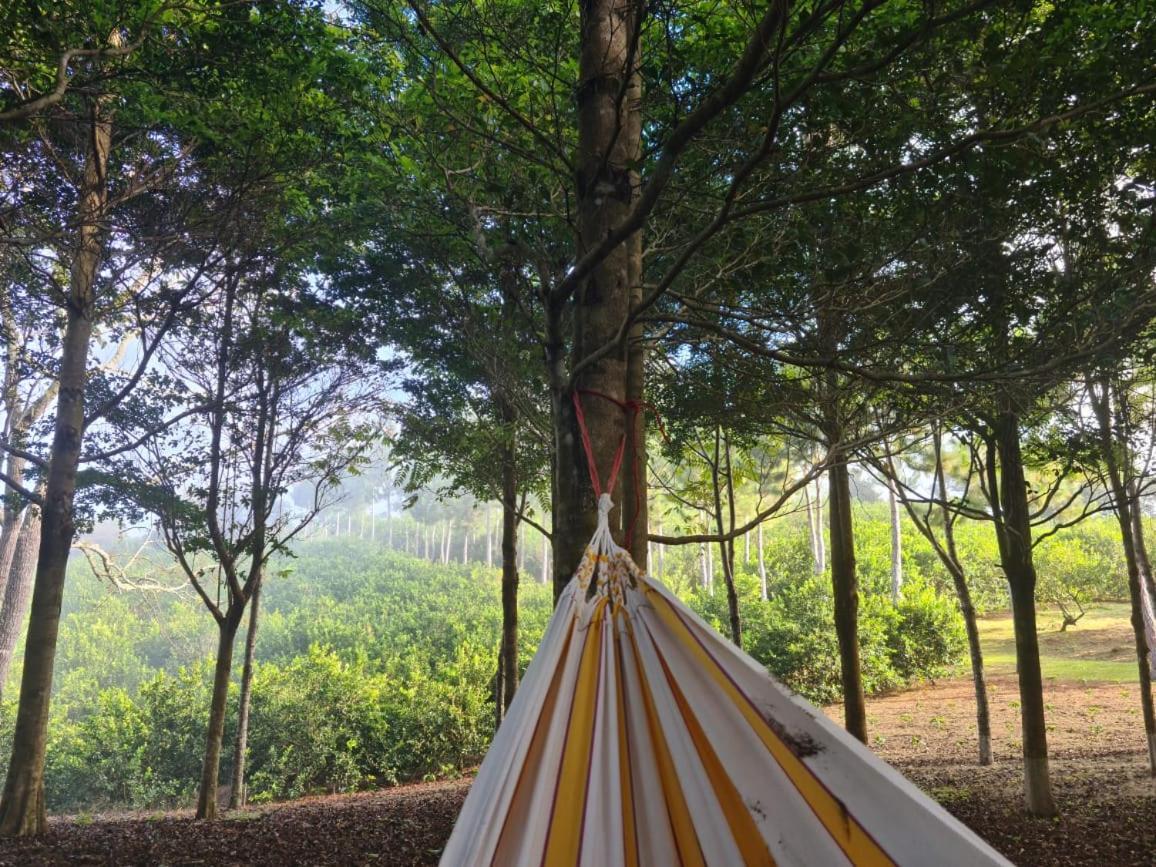 Hospedaje Finca Agroturistica Dona Rufa Rio Sereno エクステリア 写真