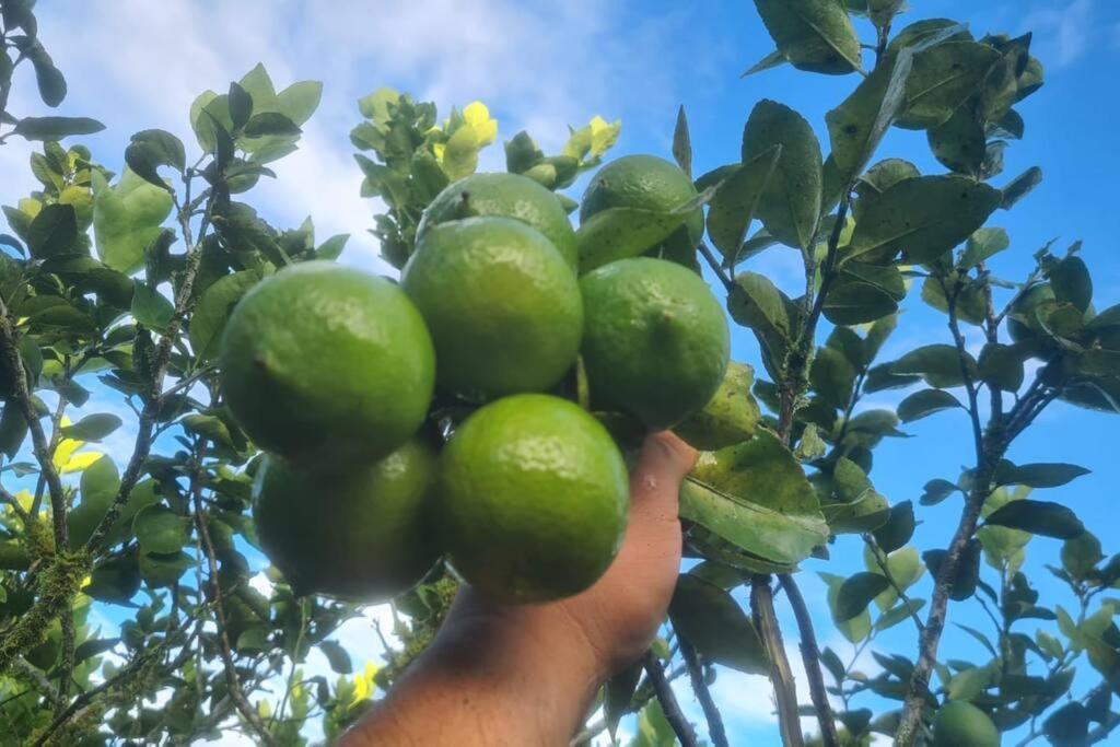 Hospedaje Finca Agroturistica Dona Rufa Rio Sereno エクステリア 写真